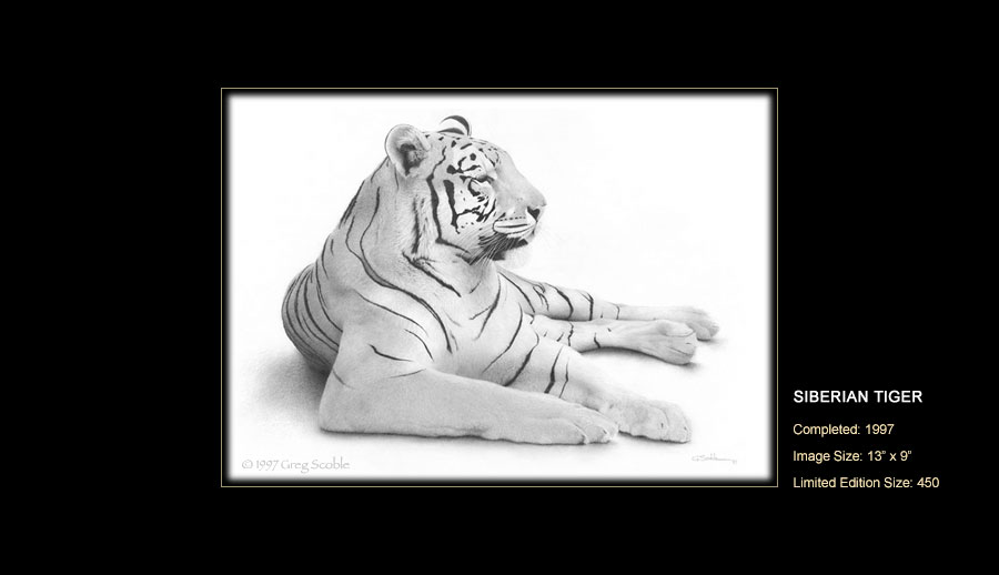 Click on boxes below for enlarged detail